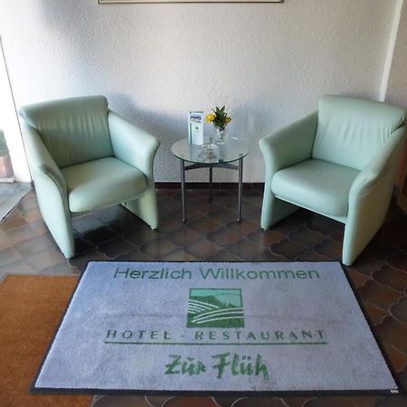 Hotel Zur Flueh Bad Säckingen Esterno foto